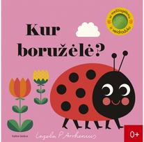Kur boružėlė? - Ingela P Arrhenius