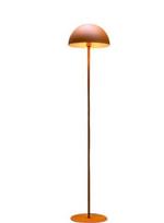 Toršeras Mushroom