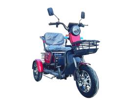 Elektrinis triratis mopedas-motoroleris EMOTO M20 1000W 60V 20AH dvivietis