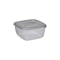 Maisto laikymo indas Polar box 460ml, pilkas
