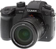 Panasonic Lumix G GH5 (DC-GH5L) + Panasonic LEICA DG VARIO-ELMARIT 12-60mm / F2.8-4.0 ASPH. / POWER O.I.S. (H-ES12060)