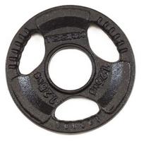 Svoris grifui TOORX DGN-TG D50mm 1,25kg