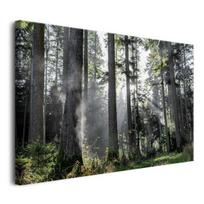 Paveikslas ant drobės gyvenamajam kambariui Sienų apdaila Miškas saulėtekyje 80x120