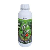 Amino Kelp-O amino rūgštys su dumblių ekstraktu 1L.