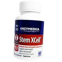 Fermentai smegenims, Stem XCell, Enzymedica 60 kaps (72466007) 60caps