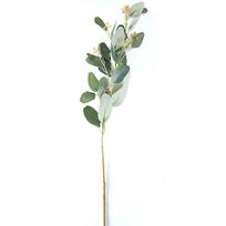 Dirbtinis Eukaliptas 72cm, 2 rūšių