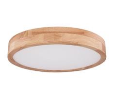Globo 41745-24 - LED Pritemdomas lubinis šviestuvas RAINER LED/24W/230V + +VP