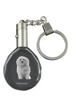 Havanos bišonas, Havanos bišonas, Bichón Havanés - pakabukas su šuns nuotrauka, krištolinis raktų pakabukas dovanų dėžutėje, unikali Art-Dog dovana skaidri
