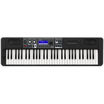Casio CT-S500 Sintezatorius su automatiniu akompanimentu