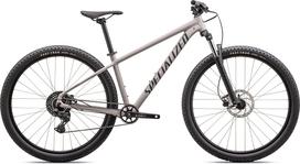 Specialized ROCKHOPPER SPORT 29 KH CLY/BLKLQDMET - kalnų dviratis