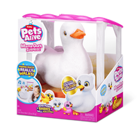 PETS ALIVE  Rinkinys „Mamos anties siurprizas“