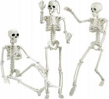 Helovino dekoracija Skeletas, balta