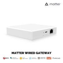 Išmanių namų MATTER komunikacijos stotelė ZigBee BRIDGE TUYA / Smart Life