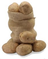 Bulvių krakmolas - 500g - pakuotėje