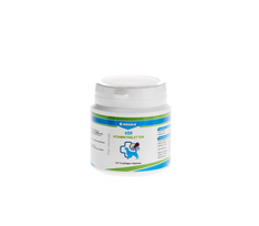 Canina V25 tabletės šunims, 100 g