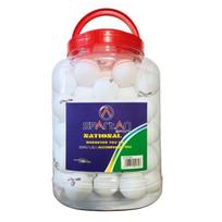 SPARTAN Treniruokliai stalo teniso kamuoliukai Ping Pong White 60 vnt.