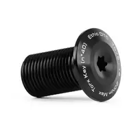 Ethic Torx Top Fork Screw IHC