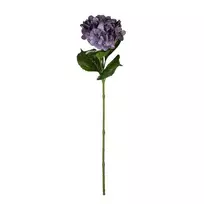 Dirbtinė gėlė ILAJA HYDRANGEA, 3 spalvos, 68 cm