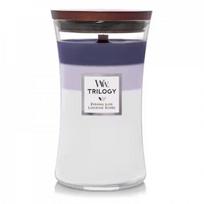 WoodWick Trilogy Evening Luxe Candle Žvakė, Large Hourglass