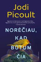 El. knyga Norėčiau, kad būtum čia - Jodi Picoult