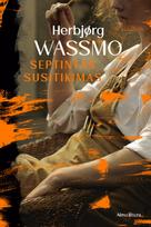 El. knyga Septintas susitikimas - Herbjørg Wassmo