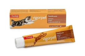 Candioli Vigorpet vitamininė-energetinė pasta katėms, 50 g