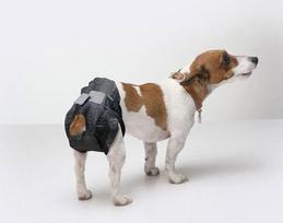 Sauskelnės šunims Savic Nappy T2, 34-34 cm, 12 vnt.