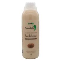 Mėmelio fermentuotas BACTOHOUSE kmynų skonio 1000 ml. - Kmynų skonio