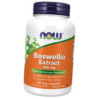 Bosvelijos ekstraktas ir kurkuminas, Bosvelijos ekstraktas 250, Now Foods 120 daržovių kepurėlių (71128024) 120vcaps