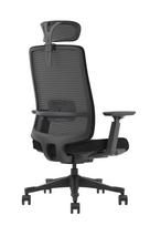 Ergonominė darbo kėdė Viborg HRU