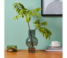 Eglo 421231 - Stiklinė vaza AMPITABE 28x15,5 cm juoda