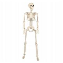 Helovino dekoracija Skeletas, baltas