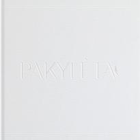 Pakylėta Begalybė - Aida Mikutytė-Bernickienė