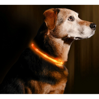 TRIXIE LED ĮKRAUNAMAS ŠVIEČIANTIS antkaklis USB, silikonas,  XS-XL 70cm/10mm, oranžinis, Pakuotė 1 vnt.