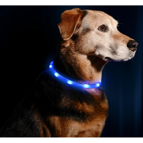 TRIXIE LED ĮKRAUNAMAS ŠVIEČIANTIS antkaklis USB, silikonas,  XS-XL 70cm/10mm, mėlynas, Pakuotė 1 vnt.