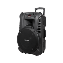 Aktyvus garsiakalbis (su 2 belaidžiais mikrofonais, SD, Bluetooth, USB) 15" 120W