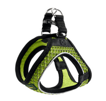HUNTER Hilo Comfort petnešos laimo žalia XXS-XS