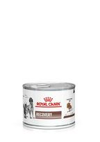 ROYAL CANIN Recovery 24x195g skardinė