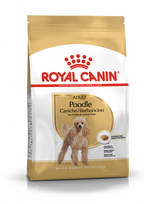 ROYAL CANIN Poodle Adult 1,5kg + STAIGMENA ŠUNUI