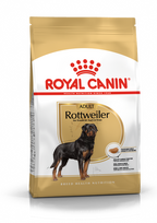 ROYAL CANIN Rottweiler Adult 12kg + STAIGMENA ŠUNUI