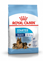 ROYAL CANIN Maxi Starter Mother&Babydog 15kg + STAIGMENA ŠUNUI