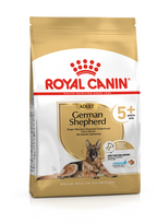 ROYAL CANIN German Shepherd Adult 5+ 12 kg + STAIGMENA ŠUNUI