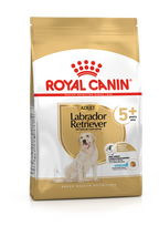 Royal Canin LABRADOR RETRIEVIER ADULT 5+ 12kg + STAIGMENA ŠUNUI
