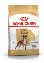 ROYAL CANIN Boxer Adult 12kg + STAIGMENA ŠUNUI