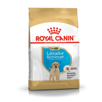 ROYAL CANIN Labrador Retriever Puppy 12kg  + STAIGMENA ŠUNUI