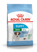 ROYAL CANIN Mini Puppy 800g  + STAIGMENA ŠUNUI