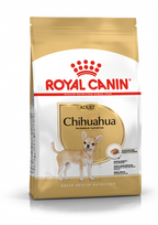 ROYAL CANIN Chihuahua Adult 500g + STAIGMENA ŠUNIUI