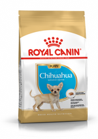 ROYAL CANIN Chihuahua Junior 1,5kg  + STAIGMENA ŠUNUI