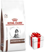 ROYAL CANIN Gastro Intestinal Puppy (Junior)  GIJ29 1kg + STAIGMENA ŠUNIUI