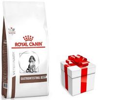 ROYAL CANIN Gastro Intestinal Junior GIJ29 10kg + STAIGMENA ŠUNIUI